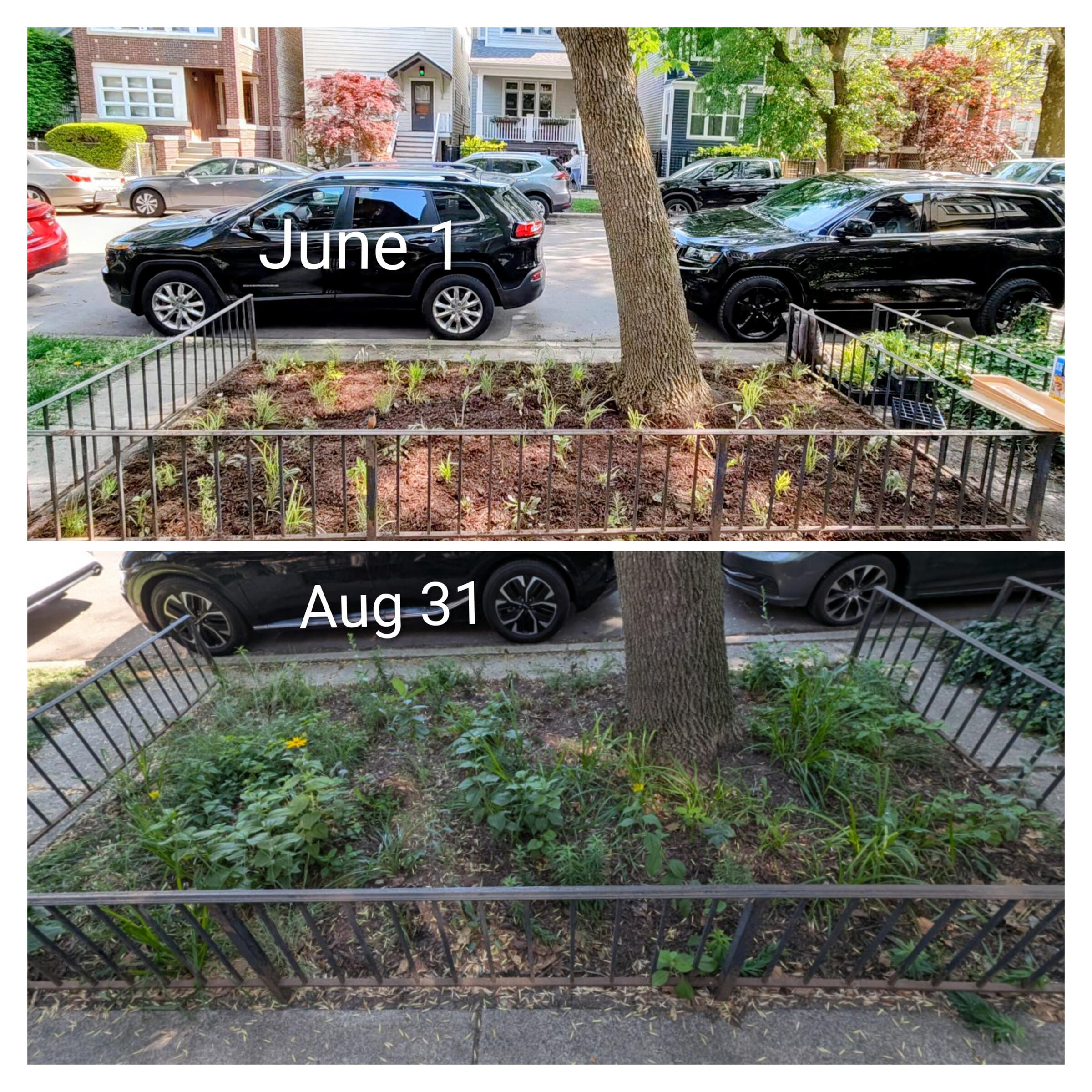 90 day progress photo